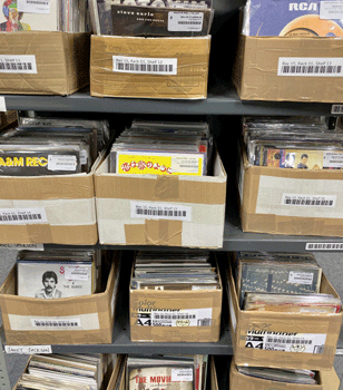 Vinyl Racked on Shelves